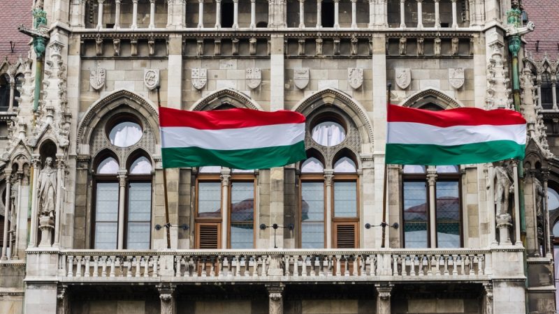 преимущества венгрии