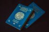 Сила казахстанского паспорта: преимущества для граждан